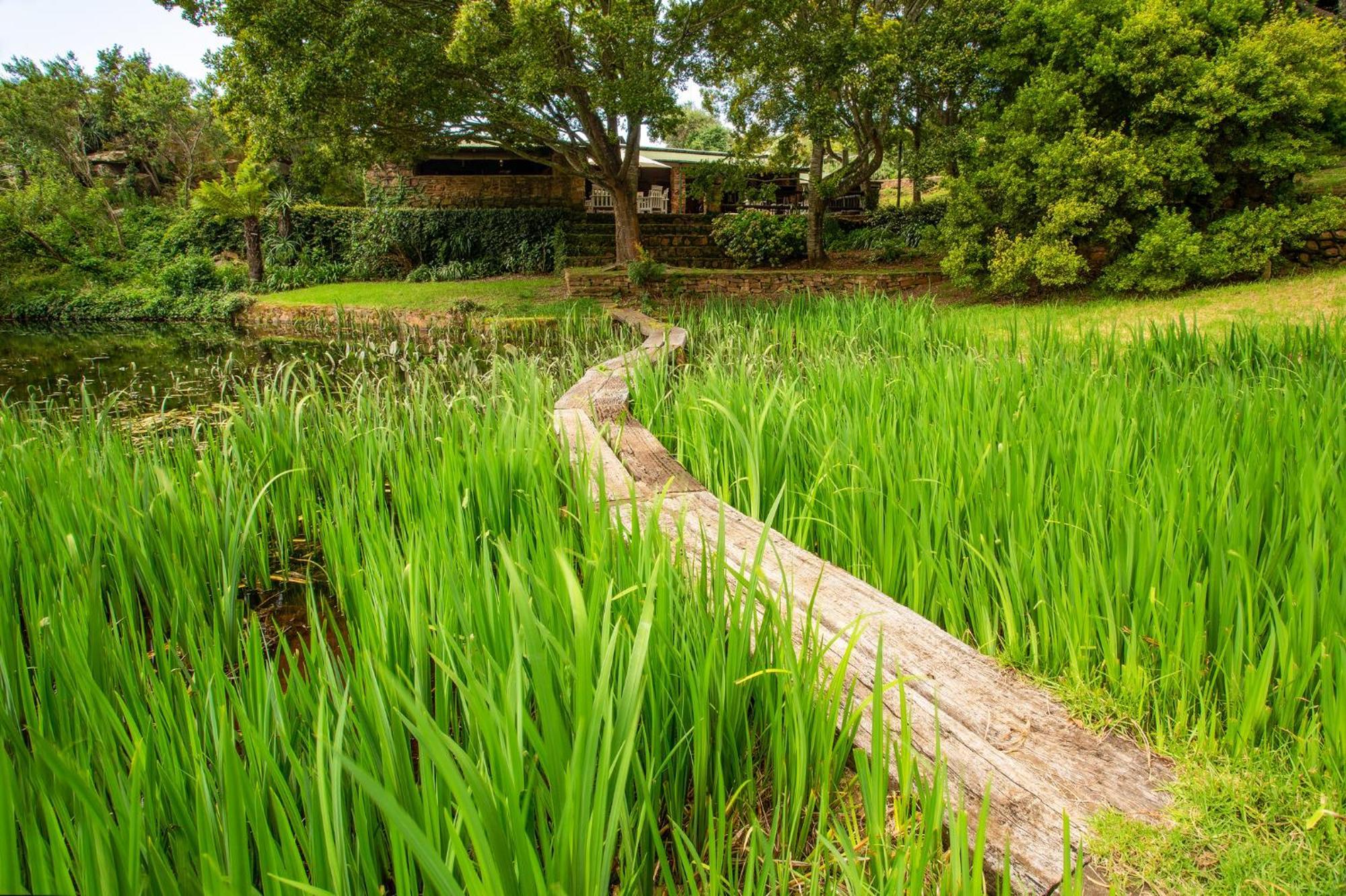Paardeplaats Nature Retreat Rhenosterhoek Exteriér fotografie